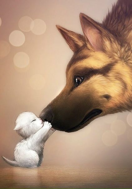 №70, Юля Тесля, Киев №70, Юля Тесля, Киев