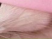 Катерина Котик | Минск