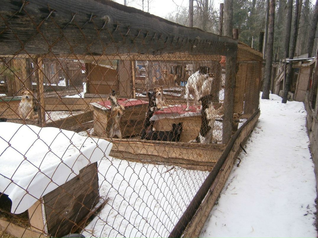Олександр Брижко | Киев