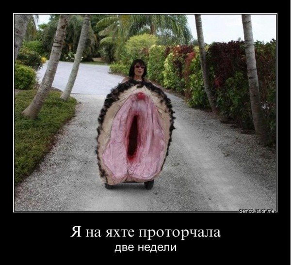 №7, Тимур Рашев, Сургут №7, Тимур Рашев, Сургут