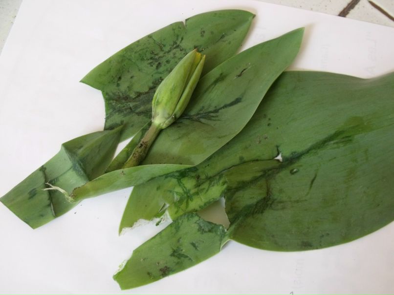 Наталья Шитенкова ...Леонидовна... | Санкт-Петербург