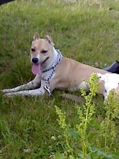 Марина Крутых | Конотоп