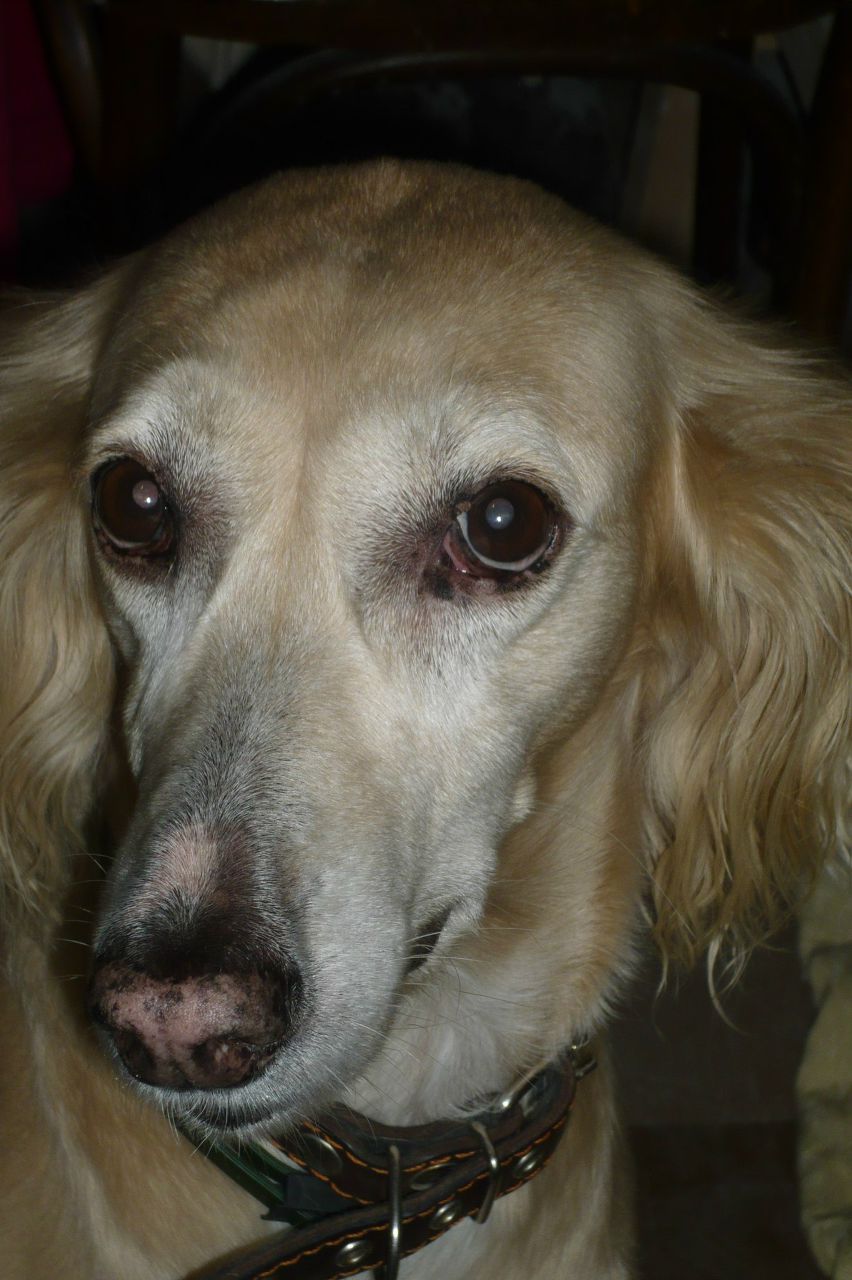 Ирина Болл | London