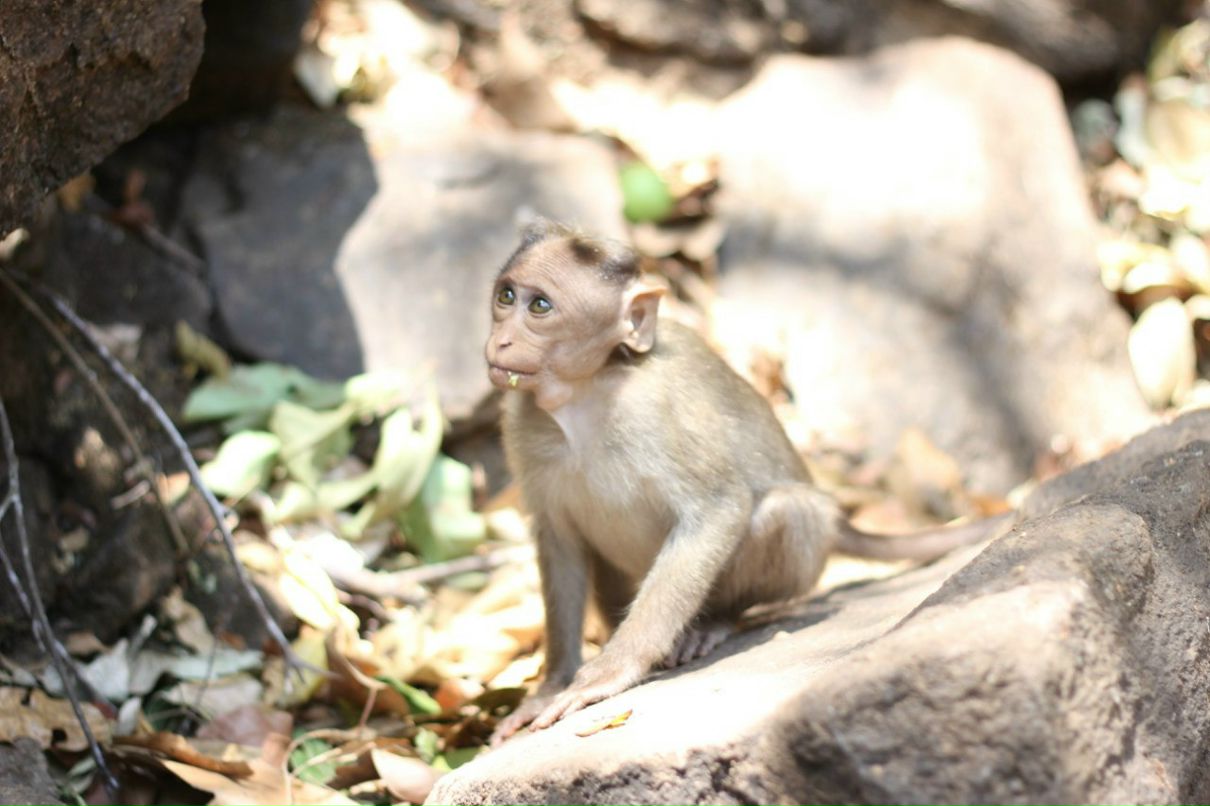 Кристина Валерева | Санкт-Петербург