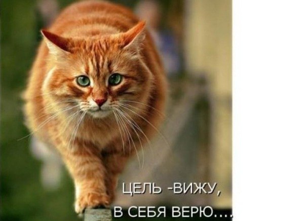 Nata Nik | Санкт-Петербург