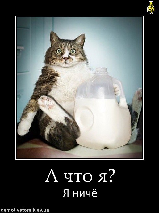 Roma Шевченко | Черкассы