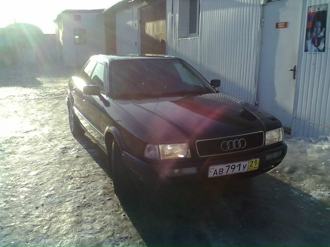 Дмитрий Батанин | Йошкар-Ола