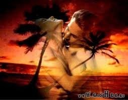 №52, Колька Кульбаба №52, Колька Кульбаба