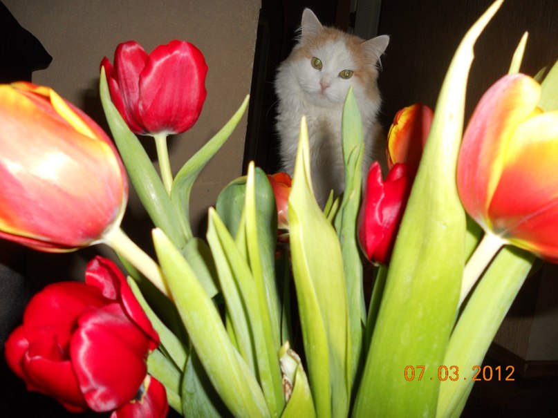 Ольга Артемьева | Пермь