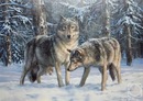 №6 Анатолий Гонтарь