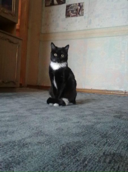 №65, Василий Станиславский, 96 лет, Москва, Россия №65, Василий Станиславский, 96 лет, Москва, Россия