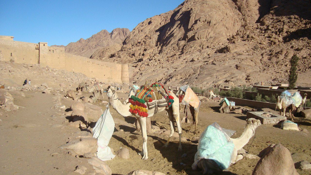 Анна Усольцева | Екатеринбург