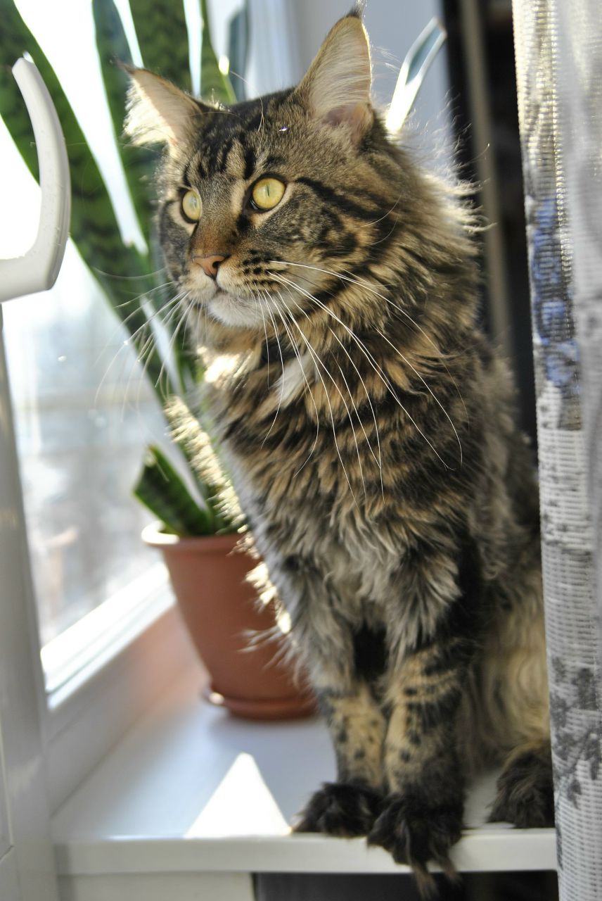 Евгения Седлецкая ❤ i'm ℓo√ﻉ❤ | Калининград