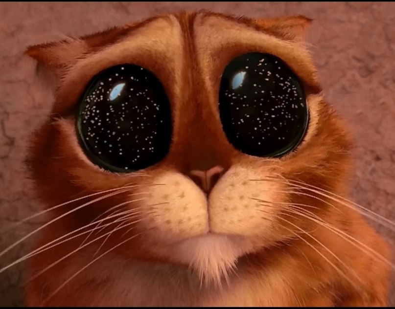 Bulat Dalaev | Агинское