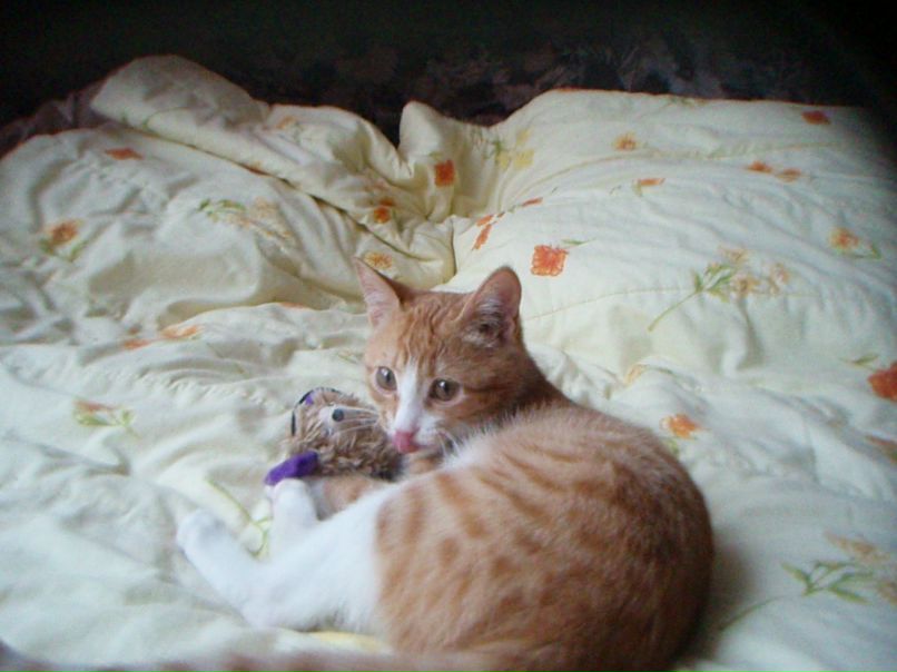 Елена Леонова | Москва