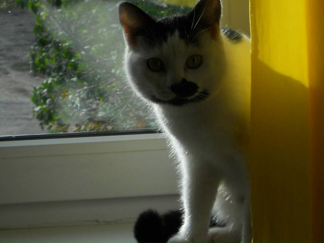 Алла Любовина | Петрозаводск