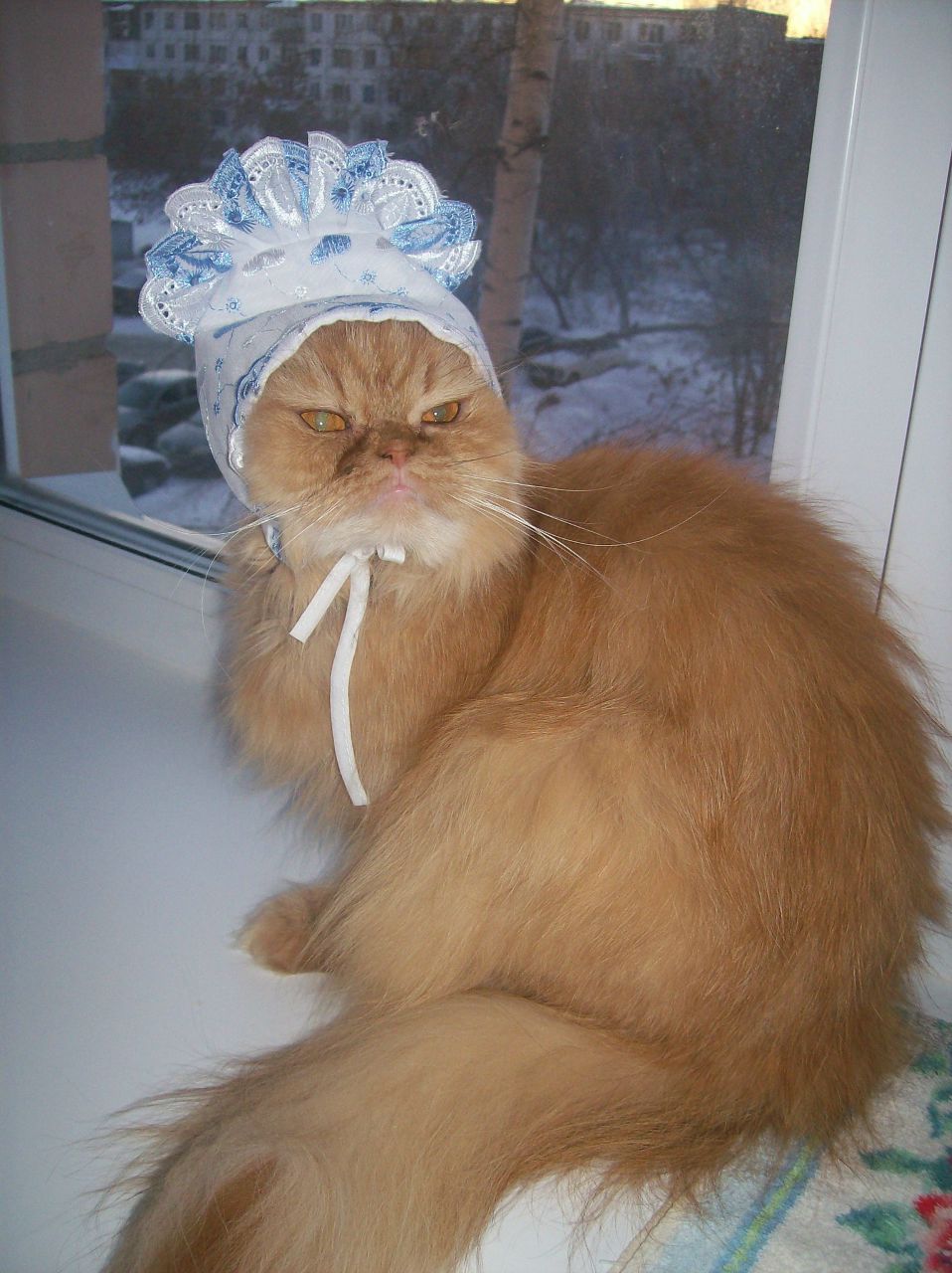 Елена Полтанова Сергеевна | Ижевск