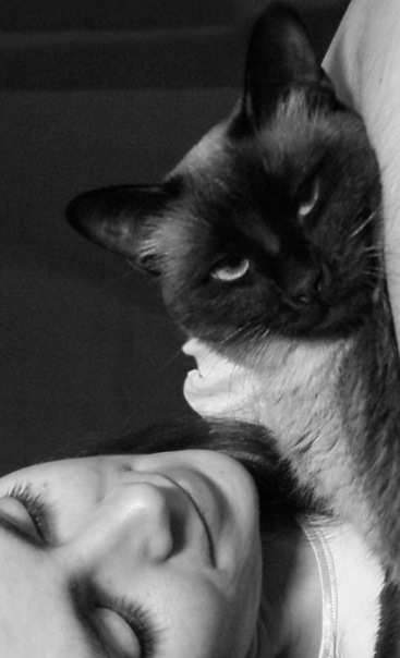 №97, Марина Бахирева, Москва №97, Марина Бахирева, Москва