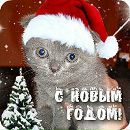 №24 Дарья Зуева 21.12.1994: профиль, фото, статус - ВКонтакте