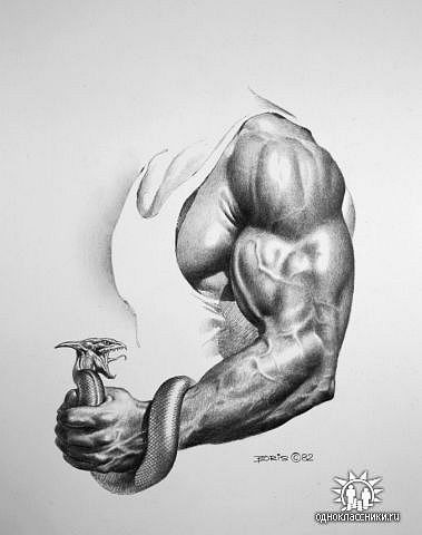 №100, Александр Земисев, Липецк №100, Александр Земисев, Липецк