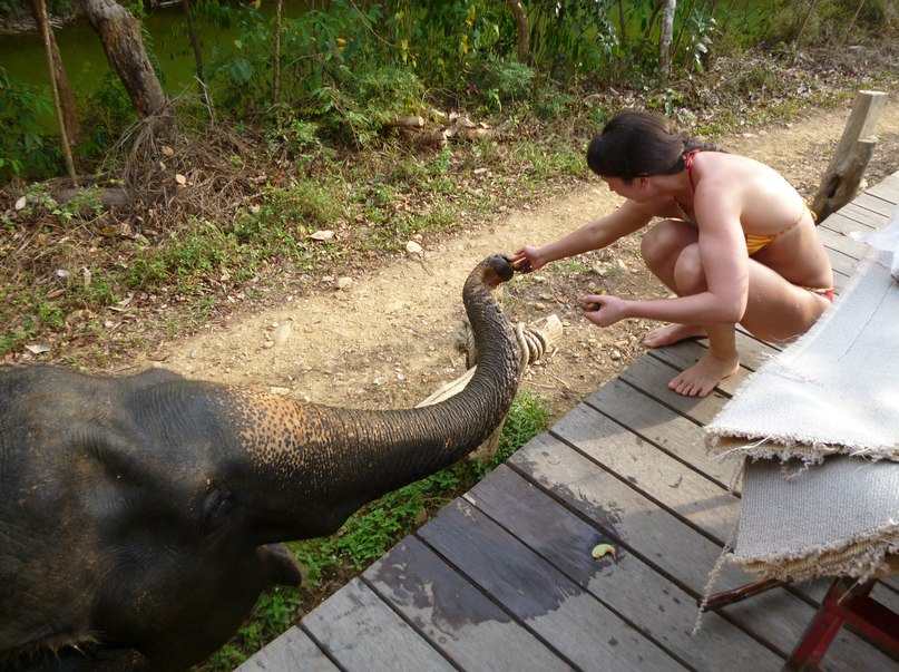 Анастасия Туз | Барнаул