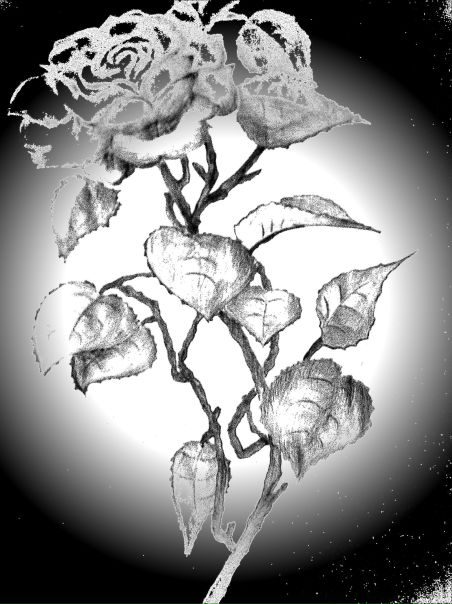 №7, Алена Шепелева, 19.11 №7, Алена Шепелева, 19.11