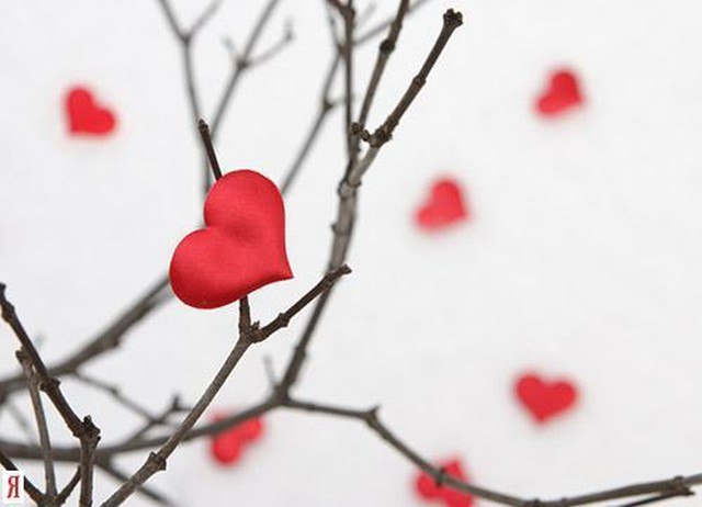 Ludmila Filin »-(¯`v´¯)->Semenikhina- | Новосибирск