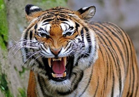 Александр Михайлов | Псков