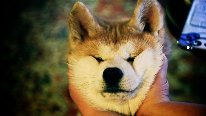 Елена Мерзлова | Denpasar