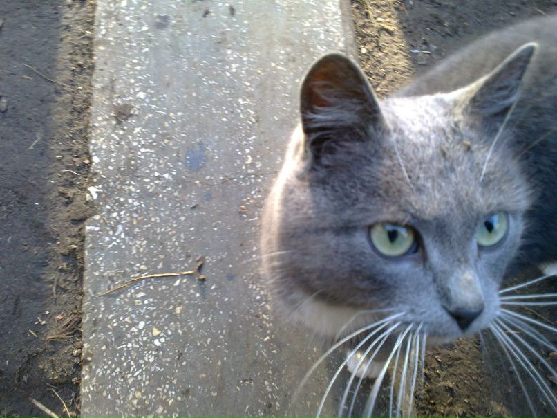 Дима Шиян | Чернигов