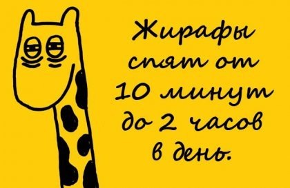 №110, Полина Белан, Москва №110, Полина Белан, Москва