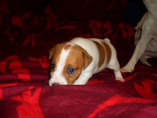 №7, Ольга Семёнова, 38 лет, Москва №7, Ольга Семёнова, 38 лет, Москва