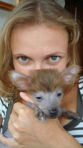 №14, Илона Копосова №14, Илона Копосова