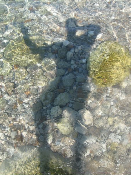 №5, Виталий Жемга, 37 лет, Донецк №5, Виталий Жемга, 37 лет, Донецк