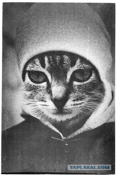№84, Толик Захарчуков, 36 лет, Киев №84, Толик Захарчуков, 36 лет, Киев