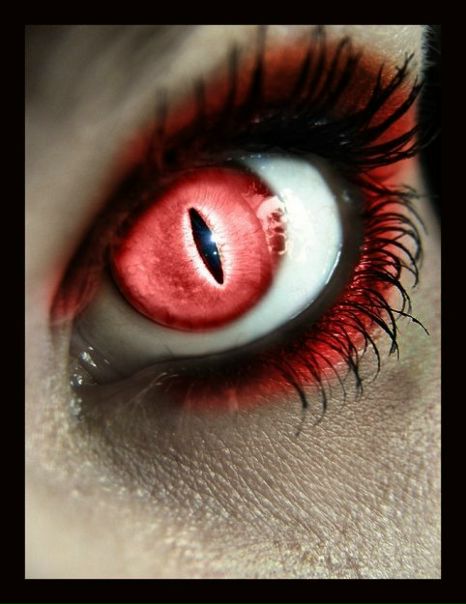 №55, Валентин Овчинников, 35 лет, Тверь №55, Валентин Овчинников, 35 лет, Тверь