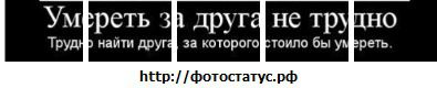 №6 Саша Шестаков : профиль, фото, статус - ВКонтакте