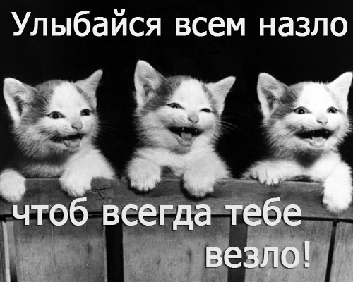 №76, Надія Калініна, 34 года №76, Надія Калініна, 34 года
