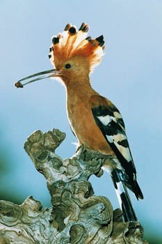 №99, Лёля Ужегова, 34 года, Москва №99, Лёля Ужегова, 34 года, Москва