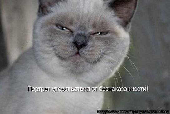 №73, Александр Денисов, 40 лет, Пенза №73, Александр Денисов, 40 лет, Пенза