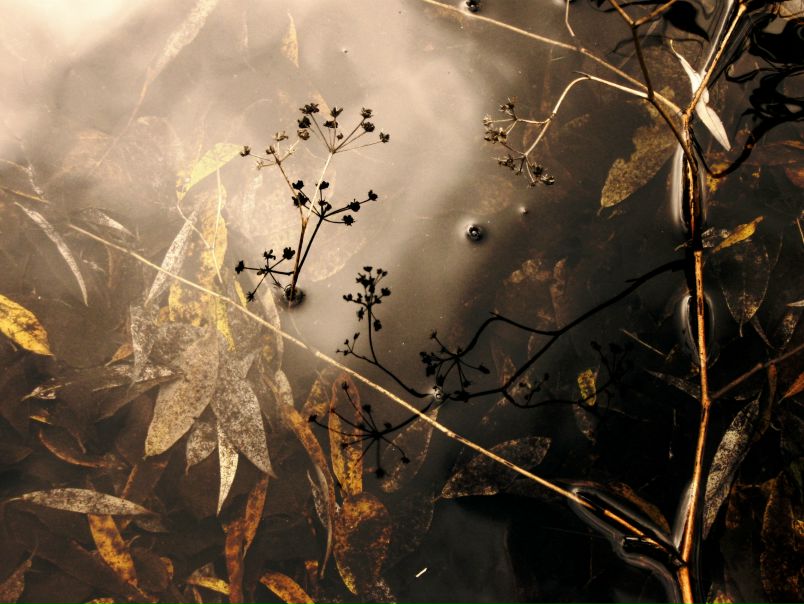 №106, Ksi Fedorova, Каменское / Днепродзержинск №106, Ksi Fedorova, Каменское / Днепродзержинск