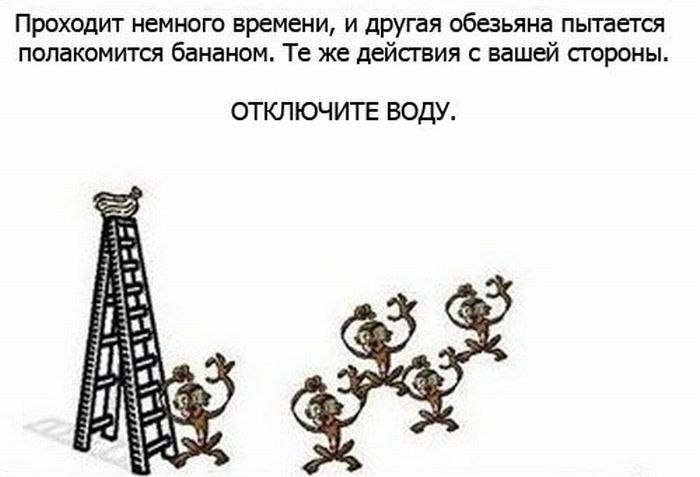 Алиса Бесфамильная | Калининград