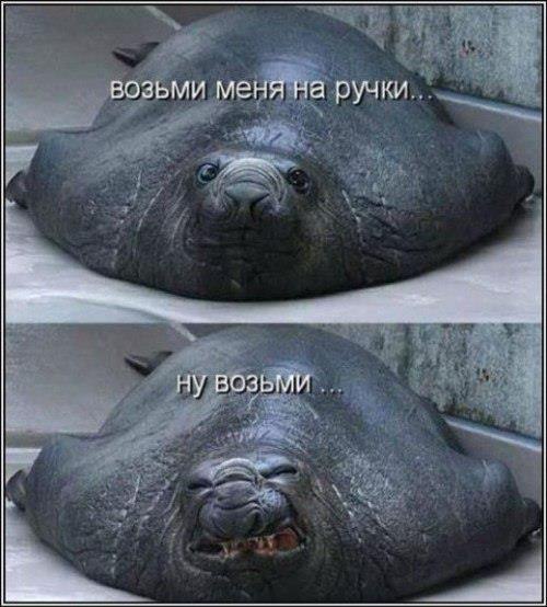 Наталья Заваркина | 