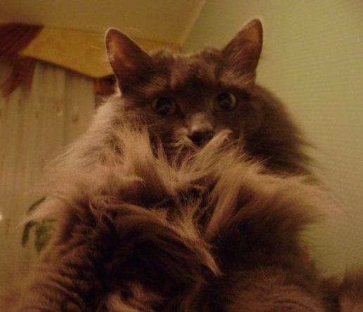 Маргарита Петрова | Набережные Челны