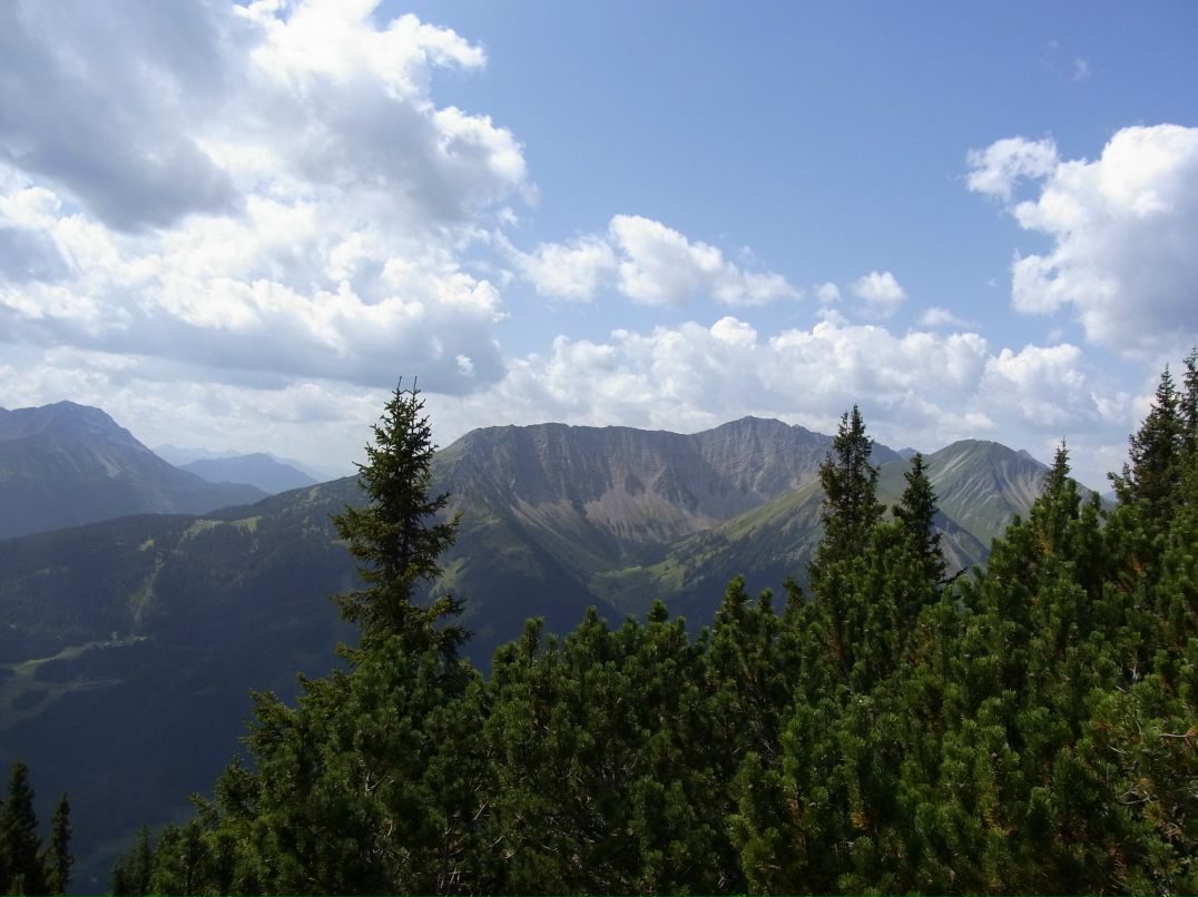 Николай Никифоров МИКОЛА-НЕ-ПИТЕРСКИЙ | Stuttgart