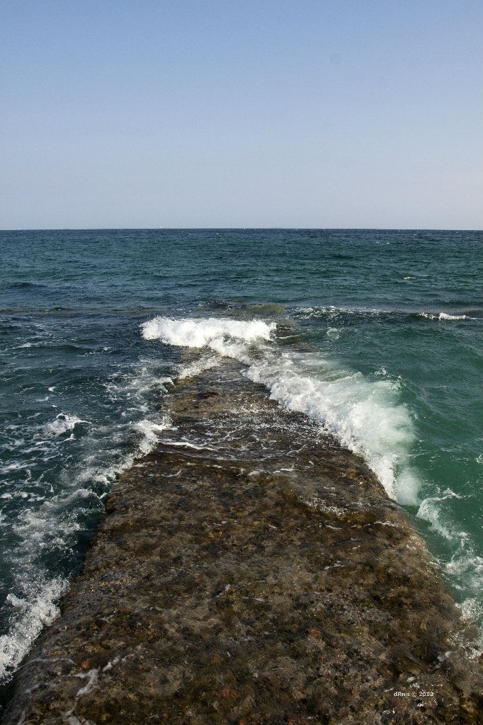 Денис Тягунов | Бендеры