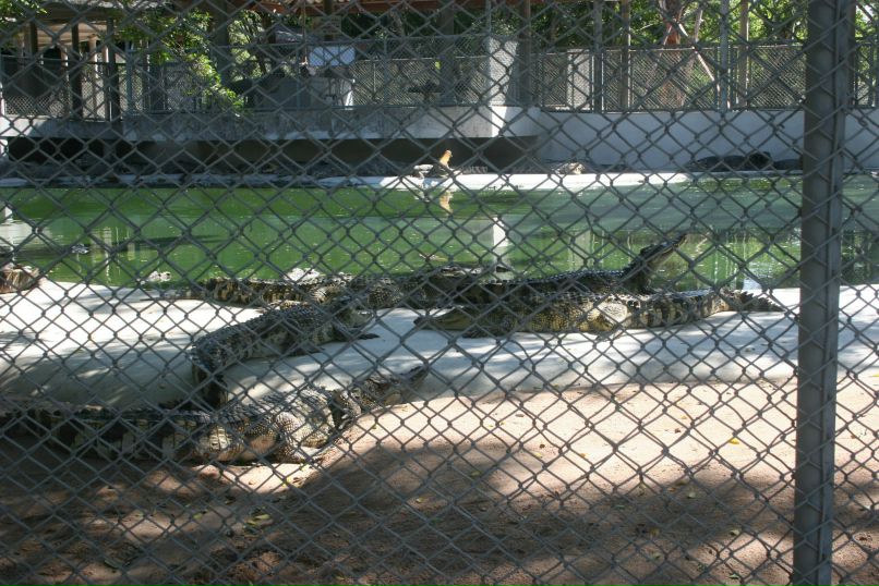 Артем Сывороткин | Екатеринбург