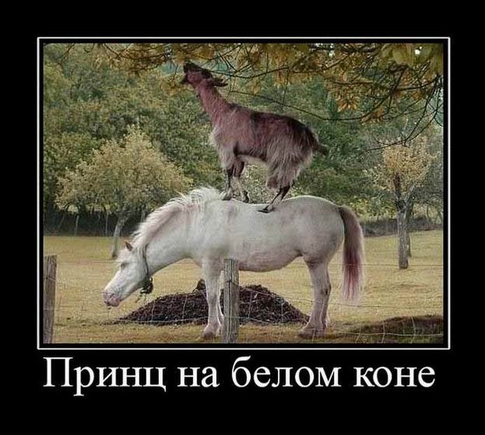 Юрий Кулик | Запорожье