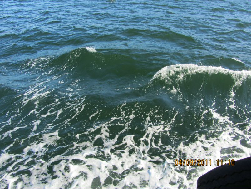 №8, Михаил Брагин №8, Михаил Брагин