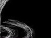 Марина Сергиенко (Коваль) | Мелитополь